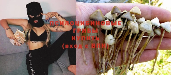 гашиш Богородицк