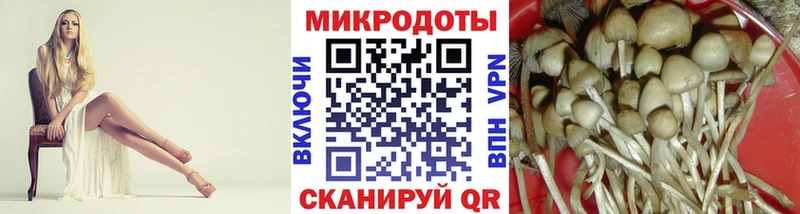 Галлюциногенные грибы GOLDEN TEACHER купить цена Армавир